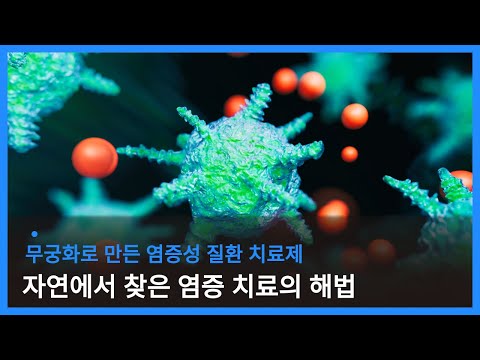 무궁화 분획물로 만든 염증성 질환 치료제 개발
