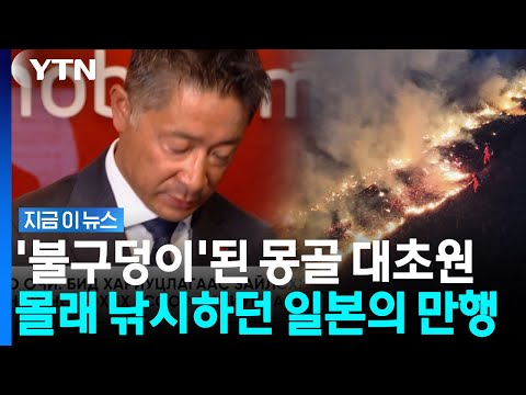 몽골 대초원에서 발생한 최악의 화재… 불법 낚시하려다 사고 낸 일본인들